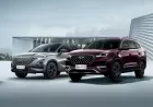 Chery Kronik Sorunları ve Detaylı Kullanıcı Yorumları ?
