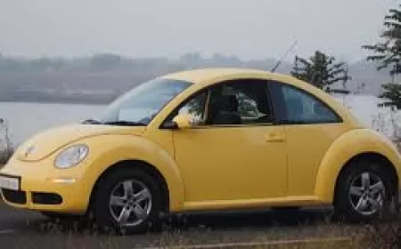 Volkswagen Beetle 1.6 Kronik Sorunları ve Kullanıcı Yorumları ?
