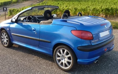 Peugeot 206 1.4 HDi Kronik Sorunları ve Detaylı Kullanıcı Yorumları ?