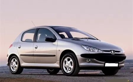 Peugeot 206 1.4 Kronik Sorunlar ve Ayrıntılı Kullanıcı Yorumları ?