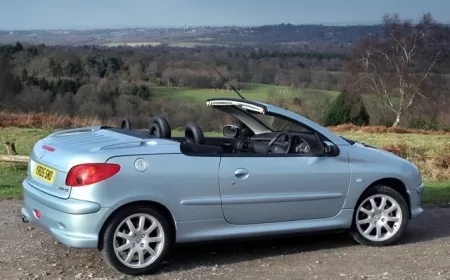 Peugeot 206 2.0 Kronik Sorunları ve Detaylı İnceleme ?
