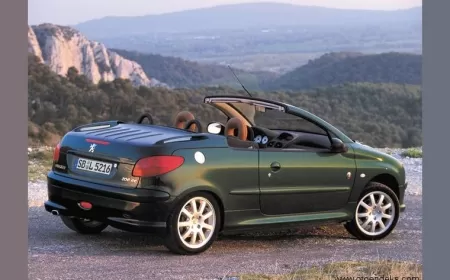 Peugeot 206 1.6 HDI Tüm Kronik Sorunlar ve Ayrıntılı Kullanıcı Yorumları ?