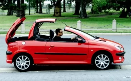 Peugeot 206 1.6 Kronik Sorunlar ve Kullanıcı Yorumları ?