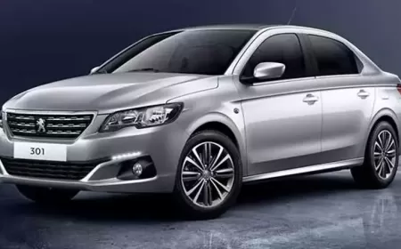 Peugeot 301 1.2 PureTech Kronik Sorunlar ve Kullanıcı Yorumları ?