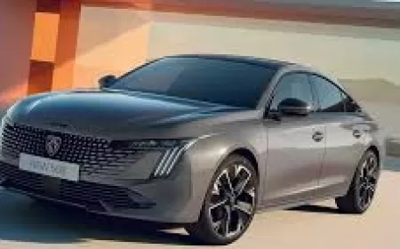Peugeot 508 1.6 BlueHDi Kronik Sorunlar ve Kullanıcı Yorumları ?