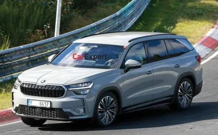 Skoda Kamiq 1.0 TSI Kronik Sorunları ve Kullanıcı Yorumları ?