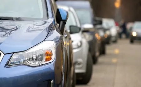 Yük ve Yolcu Taşıma Yetki Belgeleri (K1, K2, D1, D2)