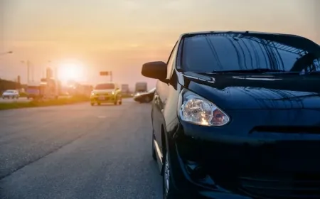 Şasi Numarası Nerede Yazar?