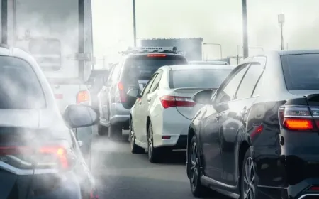 Şanzıman Adaptasyonu (Kalibrasyon) Ne İşe Yarar?