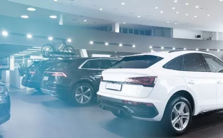 Zift Lekesi Nasıl Temizlenir? Gazyağı Zararlı mı?