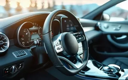 Şasi Numarasından Hasar Sorgulama