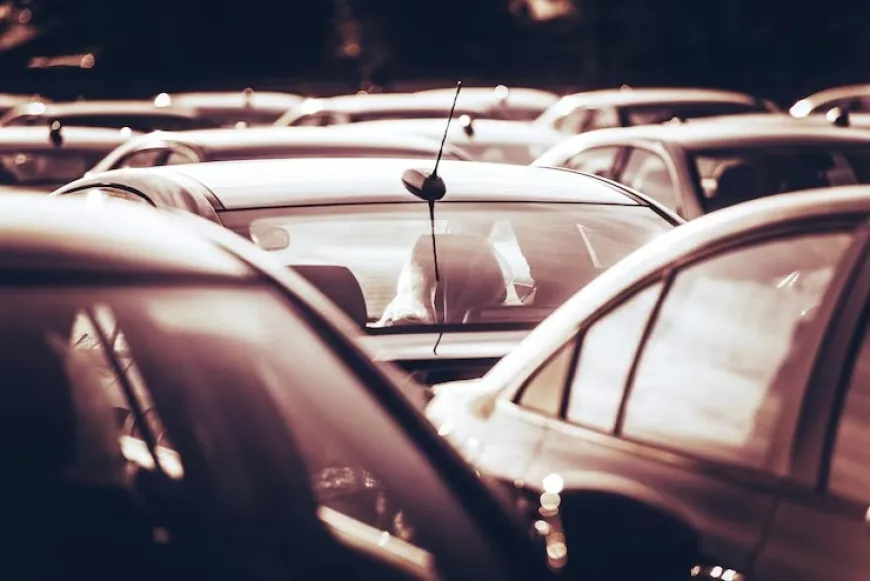 Mini Countryman E Kullanıcı Şikayetleri: Kronik Sorunları