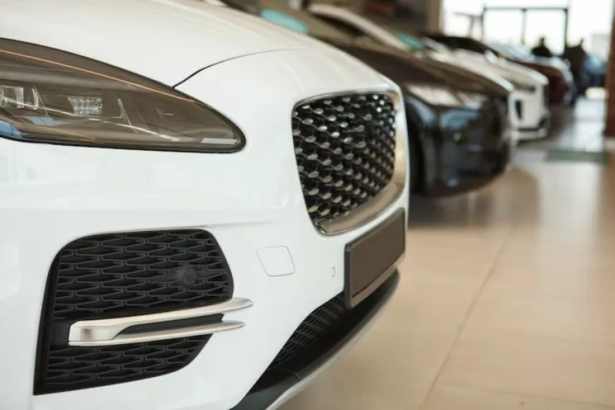 Porsche Cayman S Kullanıcı Şikayetleri: Kronik Sorunları